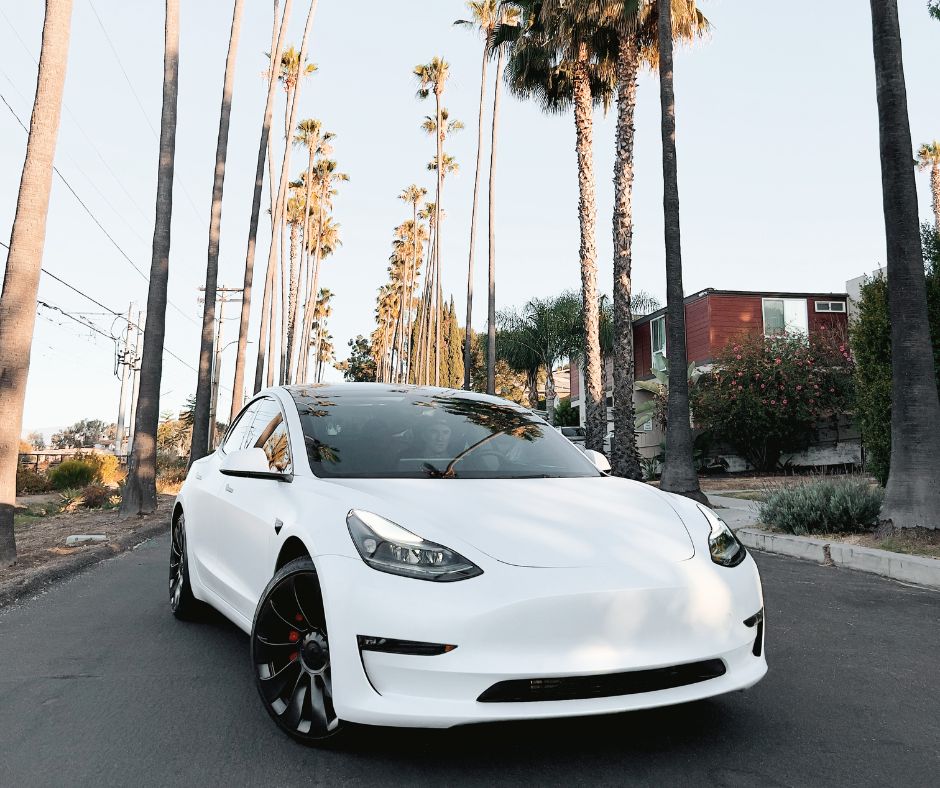 A white tesla on a street bordered by palm trees.